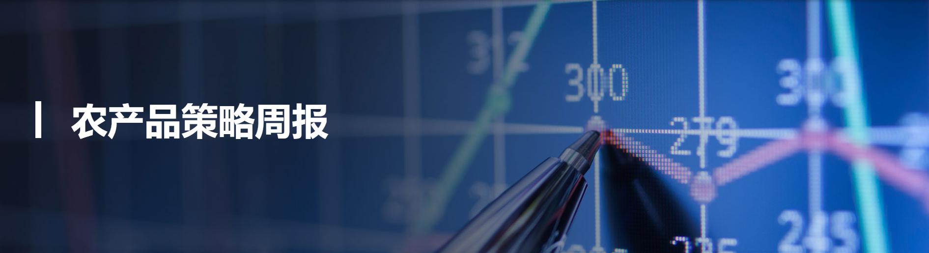 怎么看小麦期货的走势分析,技术面分析小麦的期货行情