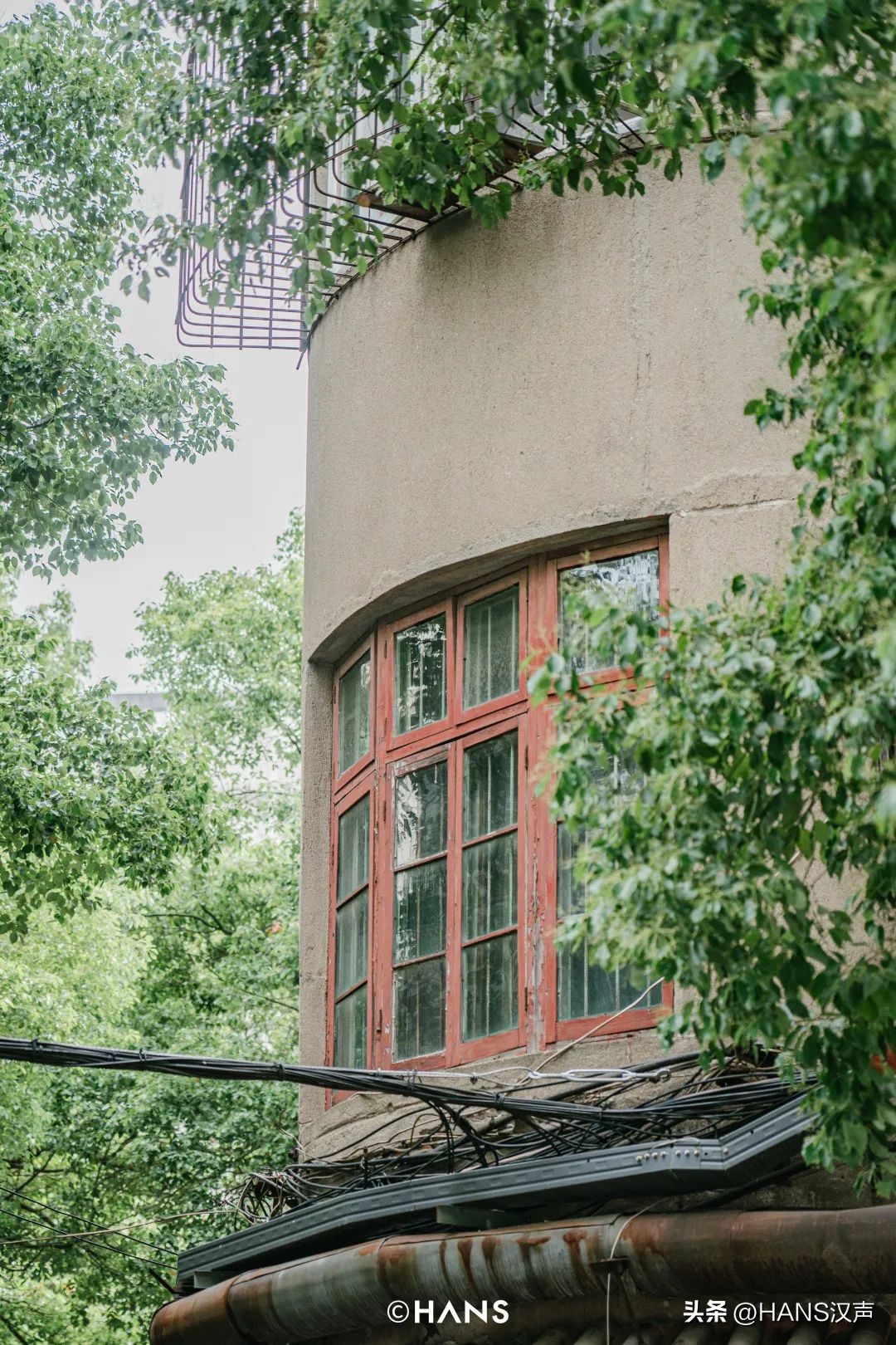 我问了每个人一个问题：你是水果湖毕业的吗？