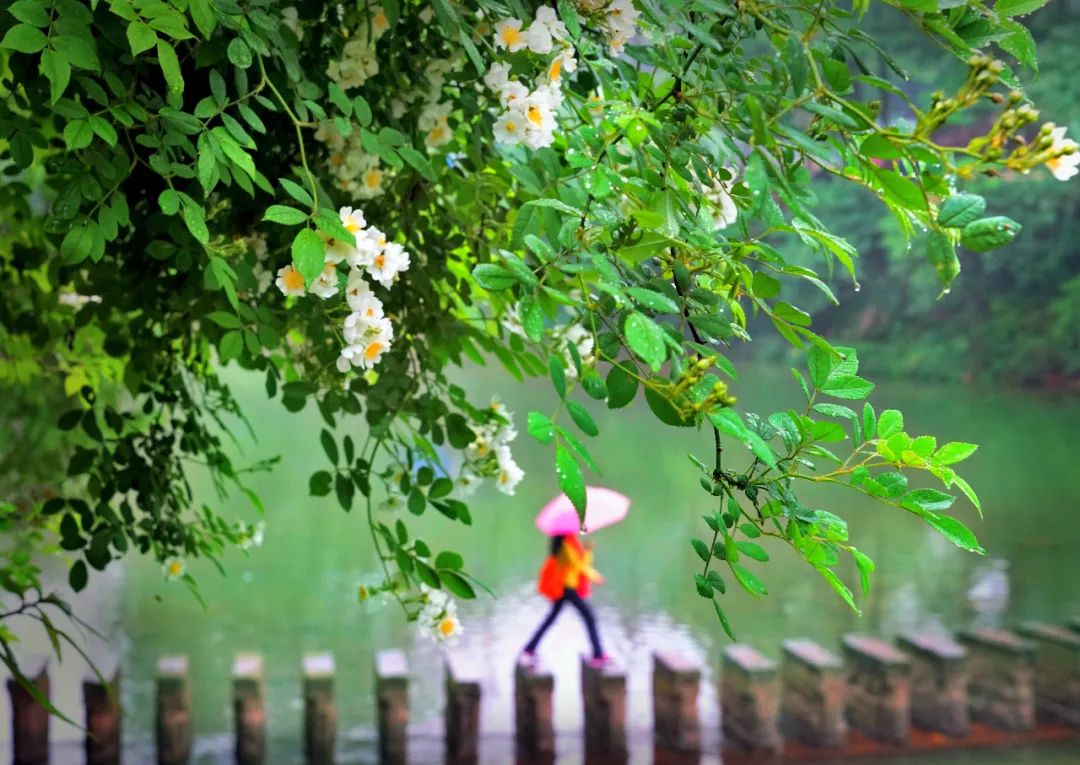 逛吃逛吃逛吃，跟着动车出发3.0