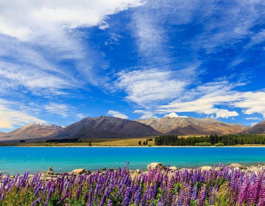 新西兰的自然资源条件,新西兰对自然环境的保护