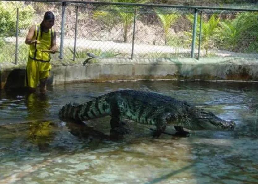 十大最危险的高薪工作,盘点全球最危险6大高薪工作