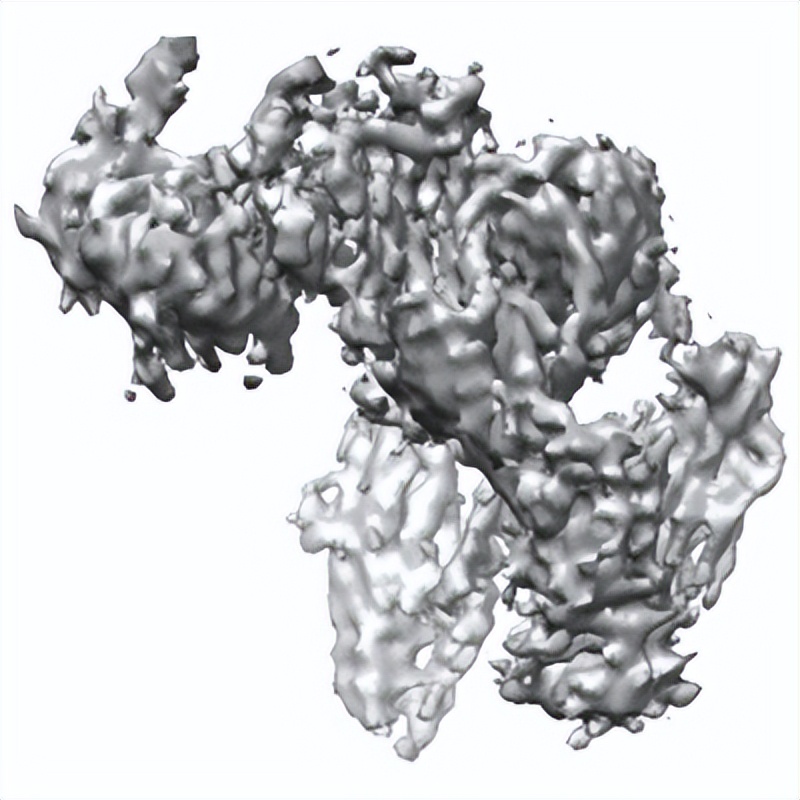 健身增肌好处的简介,锻炼和健身增肌的原理