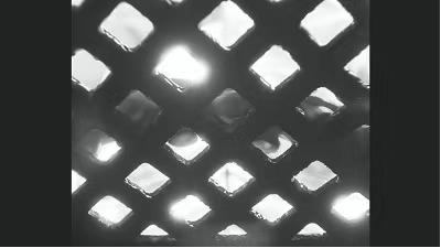 谨慎观看的纪录片,谨慎观看容易有阴影