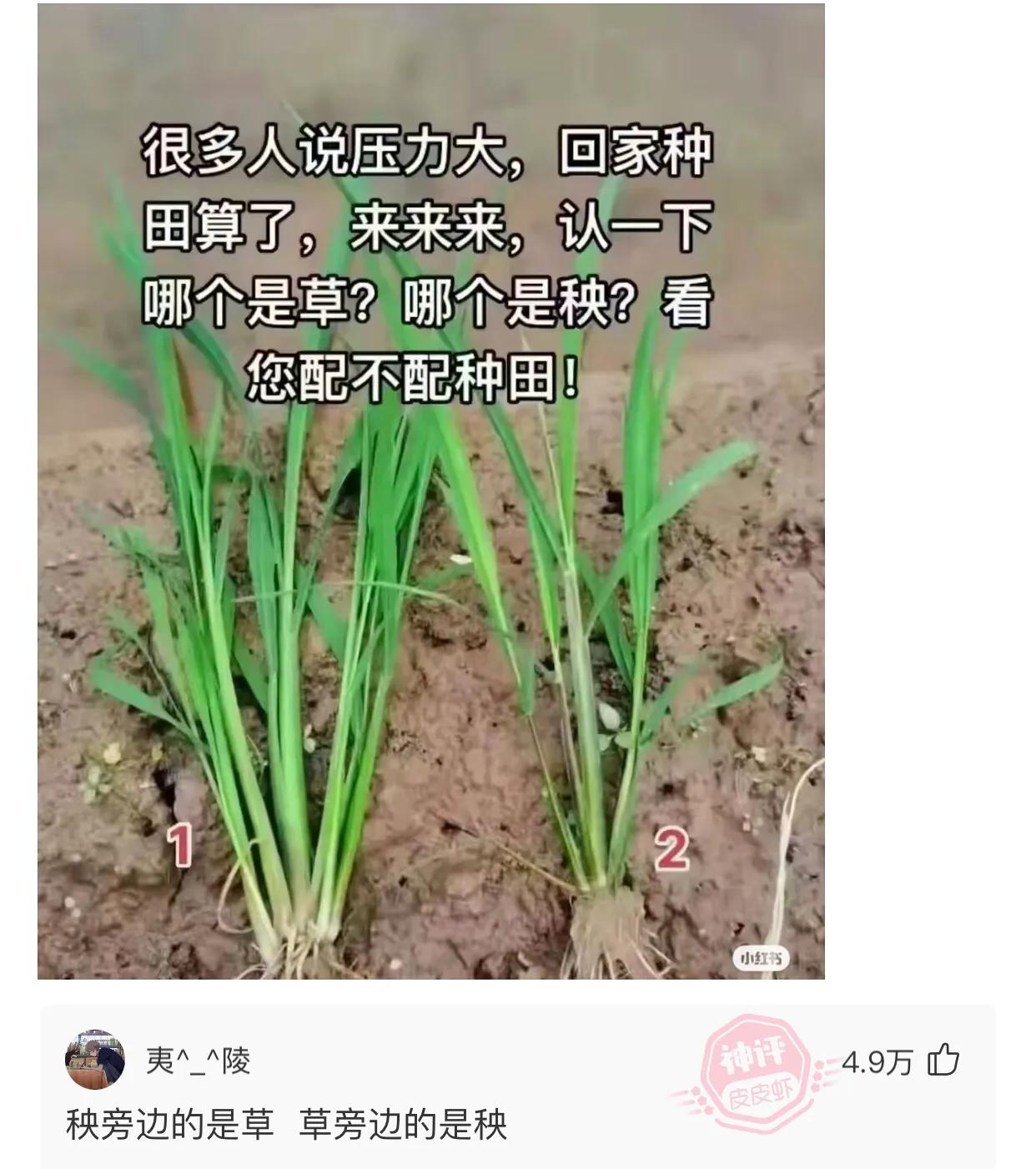 爆笑吐槽侮辱人的智商,盘点侮辱性极强的十大爆笑集锦