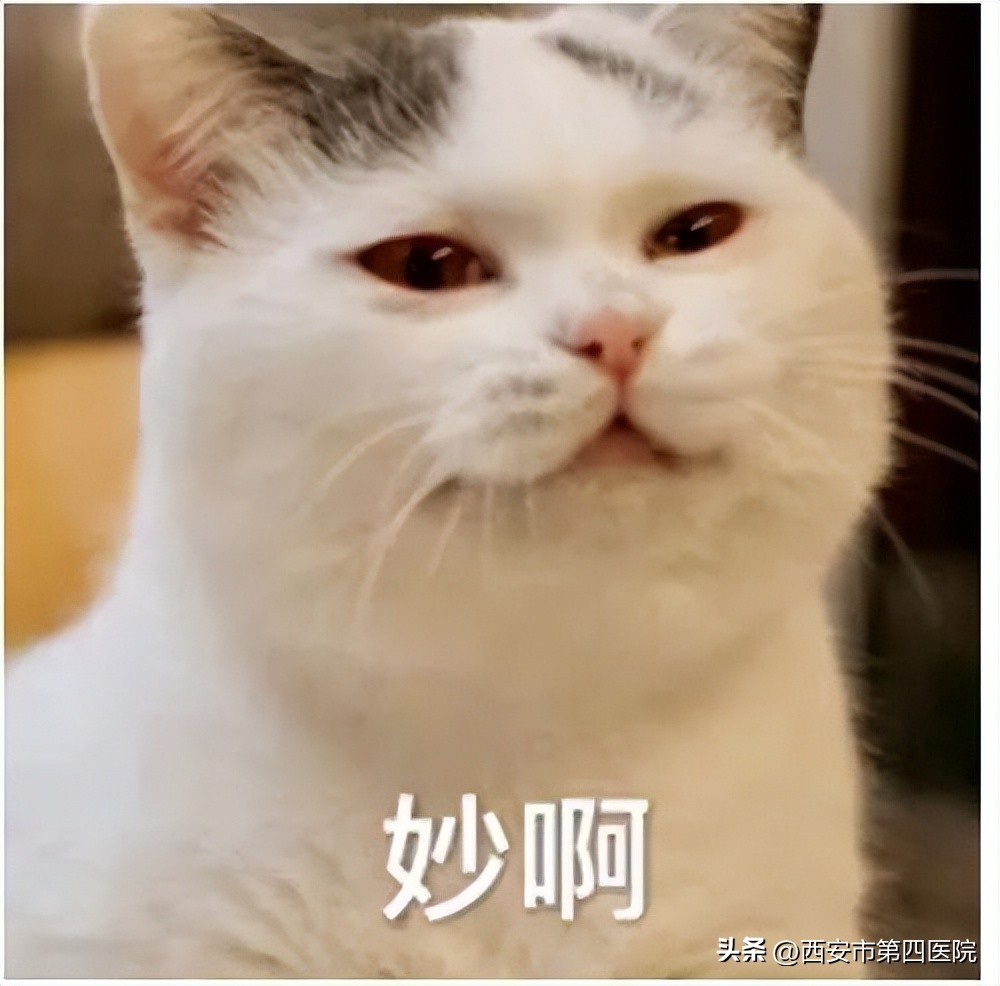 健康素养提升行动,健康素养水平提升行动