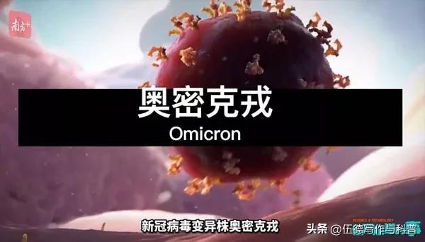 世界杯戏剧性,世界杯出人意料