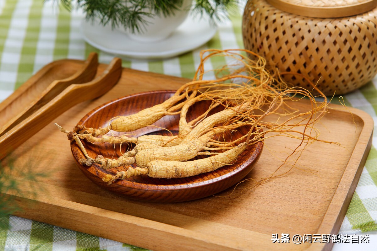 西洋参养生茶提高免疫力,西洋参可以调整免疫系统