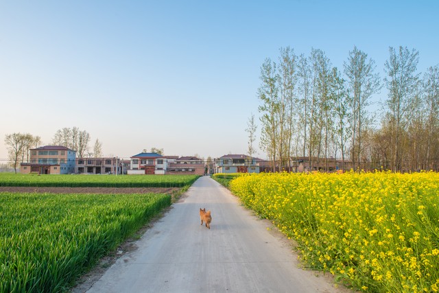 小年到底是23还是24呢,小年的时间为什么南北不一样