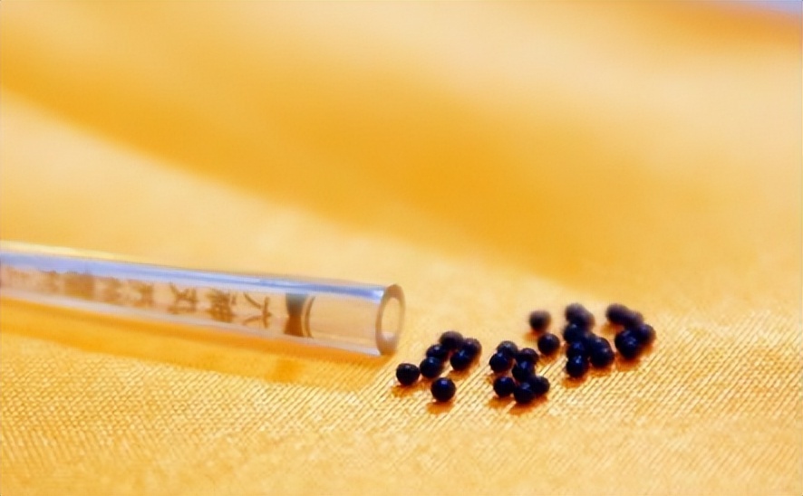 东方神药六神丸,国家保密中药六神丸