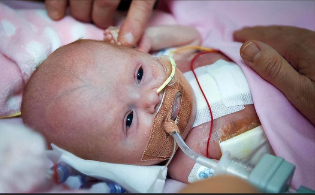 人类真的能杂交吗,人类动物能混血吗