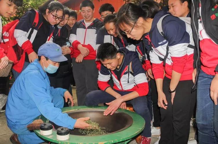 学校开设综合实践活动的基本情况,综合实践活动课程四大指定领域