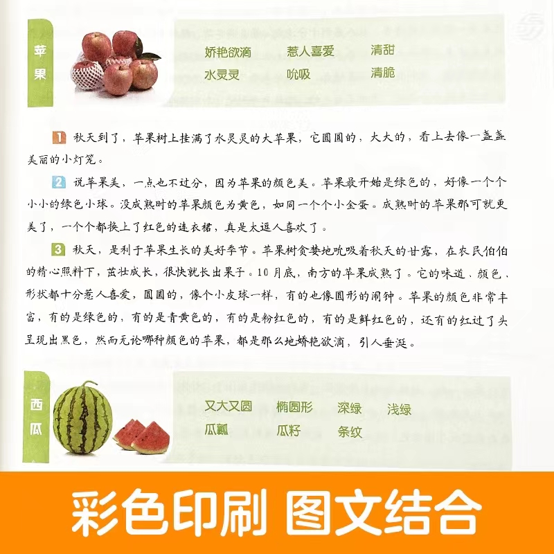 小学生写作文《我的姐姐》，老师看得笑出鹅叫，网友：回家要挨揍