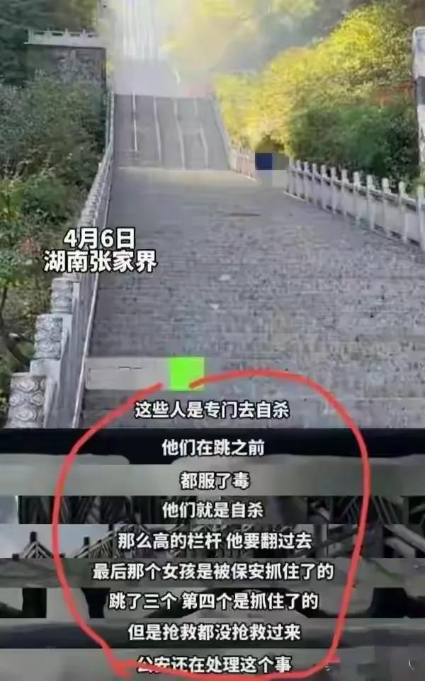 天门山跳崖女孩狼人杀 (天门山跳崖事件内江女孩资料)