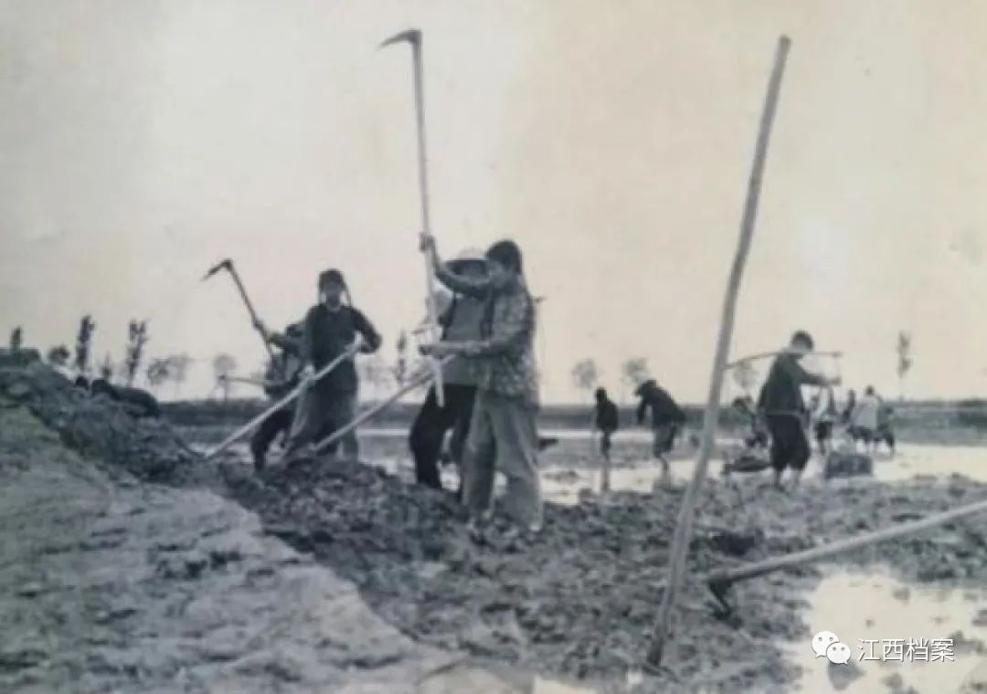 从档案中追寻这座城的变迁