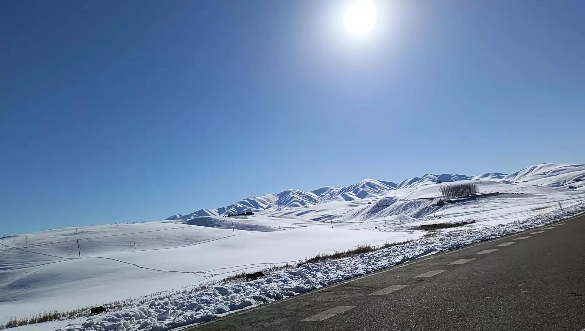 现在新股上市前5天怎么操作,新股上市如何操作