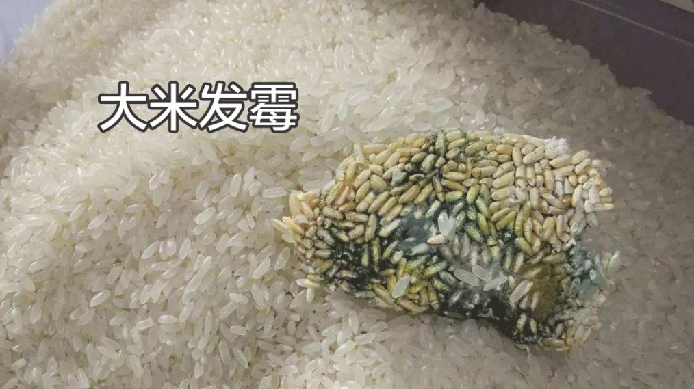 家里米面有虫子是怎么回事,米面有小小虫怎么去除最快方法