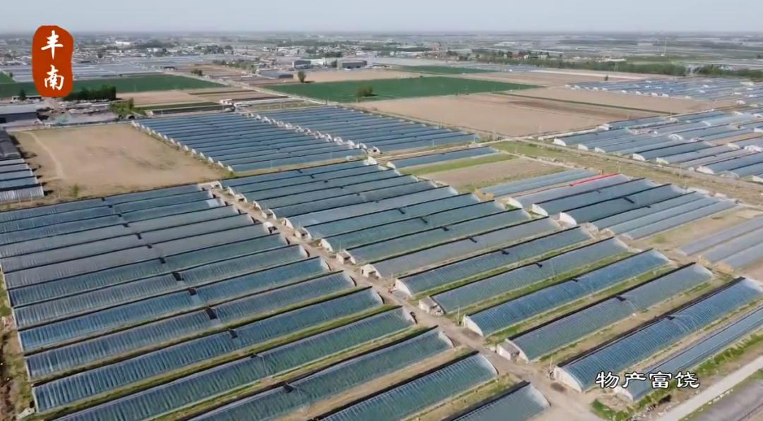 唐山丰南大运河,唐山市丰南运河