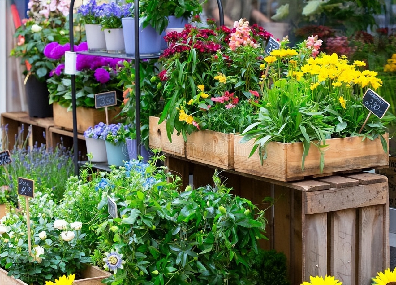 花店一年盈利,花店一年赚100万