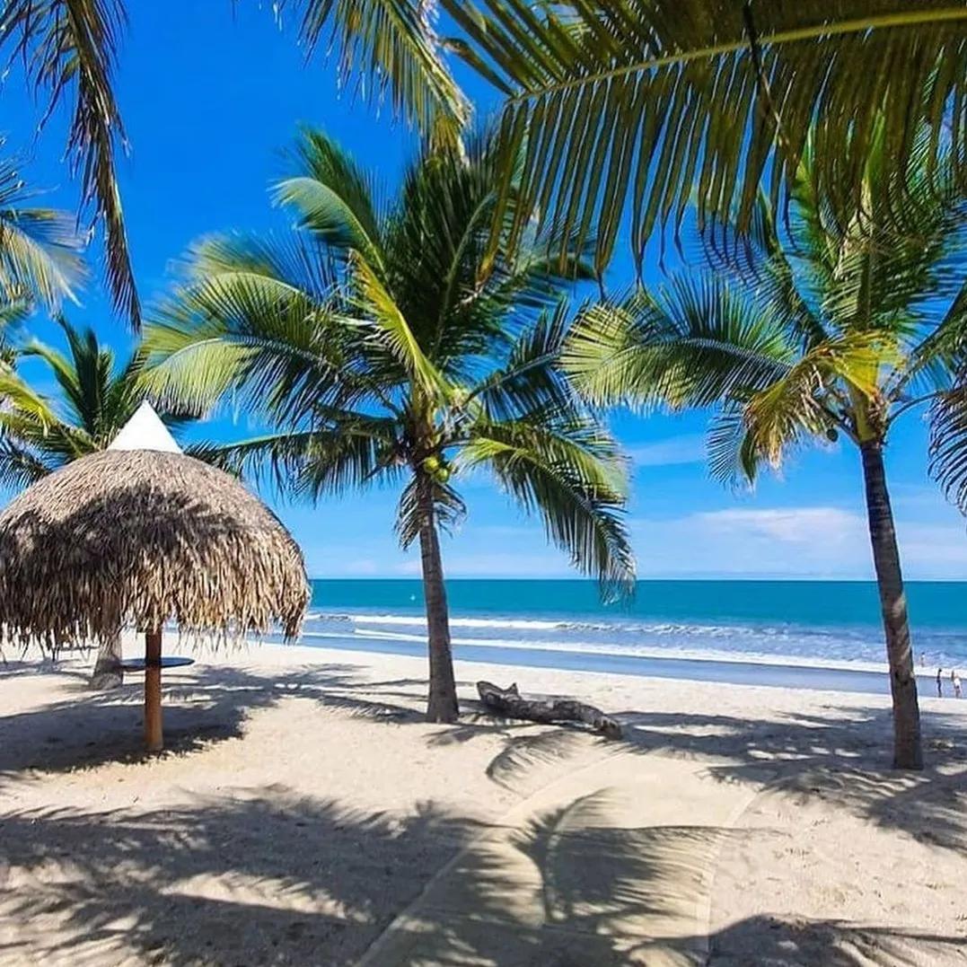 巴拿马有自己的货币吗,巴拿马华人人口多少