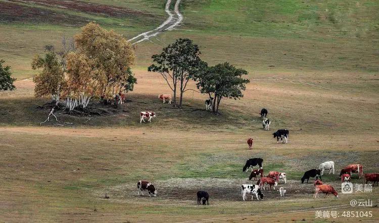 画意风光,画意风光摄影