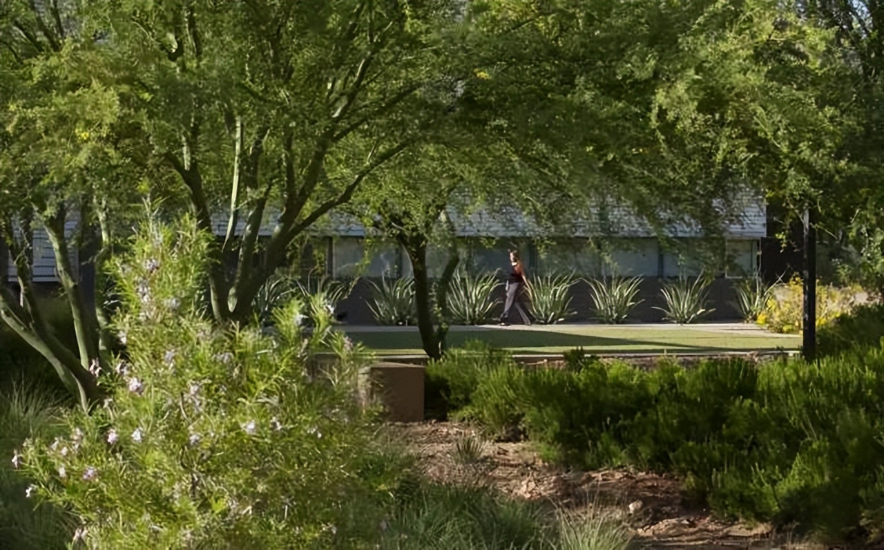 大学校园绿化设计,现代校园绿化规划设计