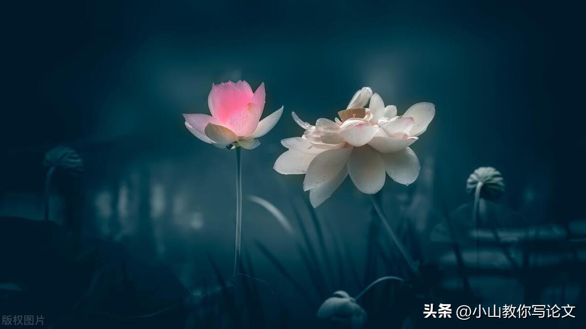 论文怎么制作目录,论文目录自动形成