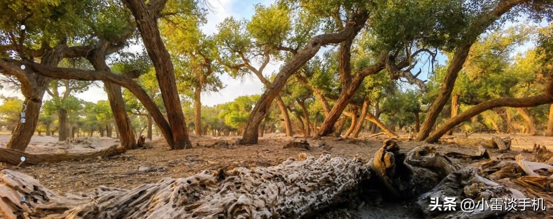 手机前置摄像头和后置摄像头区别,手机前置和后置摄像头多少像素好