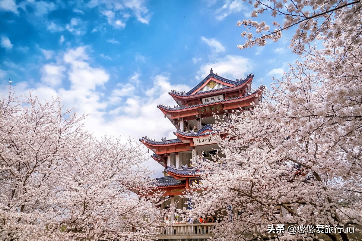 无锡旅游景点最值得去的地方,无锡市旅游必去十大景点有哪些