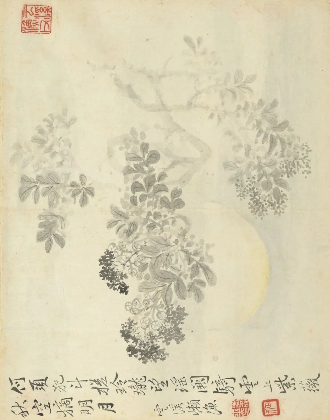 慕容看世界的视频,慕容看世界所有视频