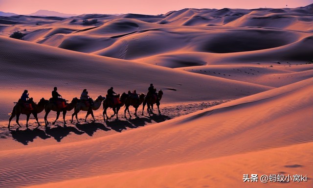 世界五大沙漠,五大沙漠