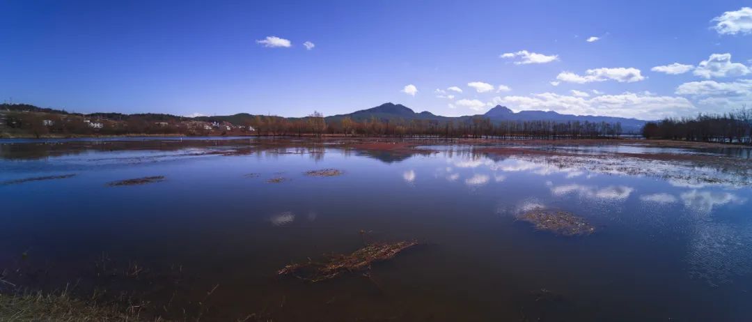 鑰佽洐15mmf4.5绉昏酱闀滃ご,鑰佽洐7.5f2璇勬祴