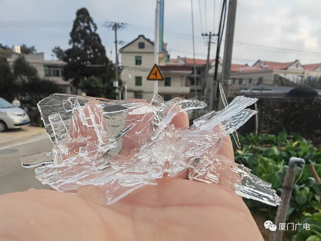 厦门春节人气,厦门过春节