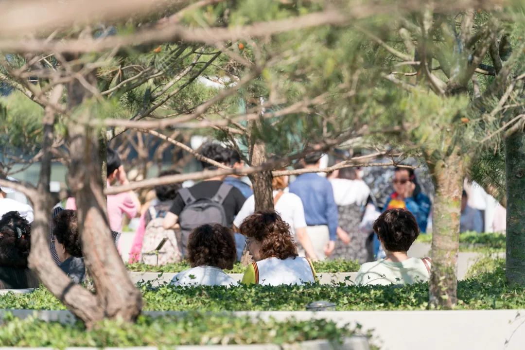 评价高颜值的神评论,高颜值高评价