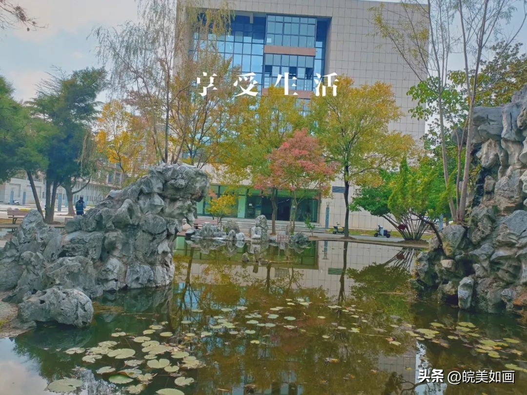 安徽大学好看的风景,高校最美秋景