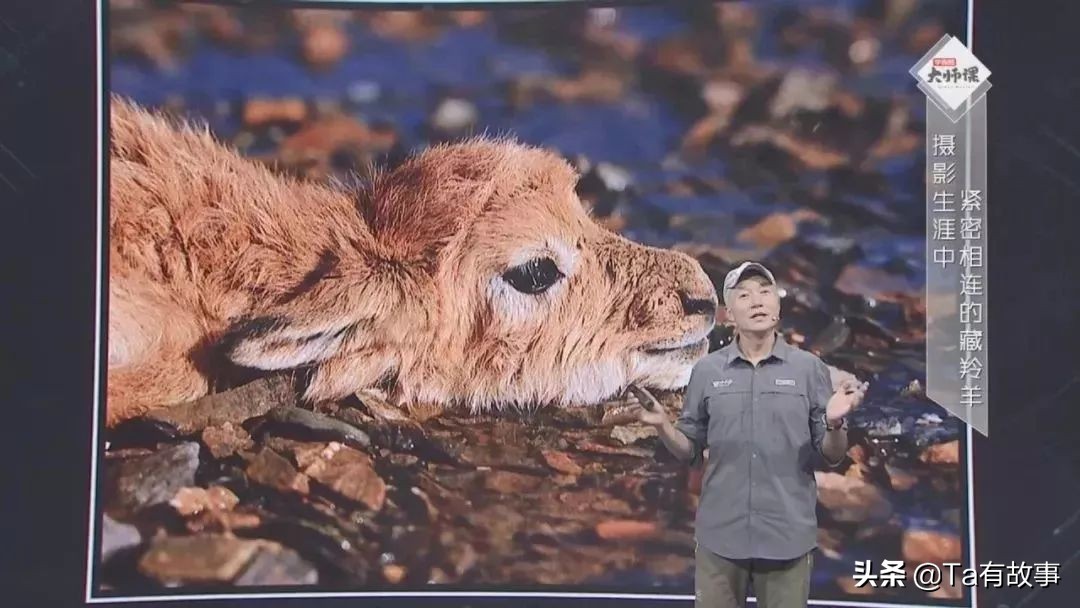 索南达杰可可西里无人区真实视频,索南达杰最后一次进入的可可西里