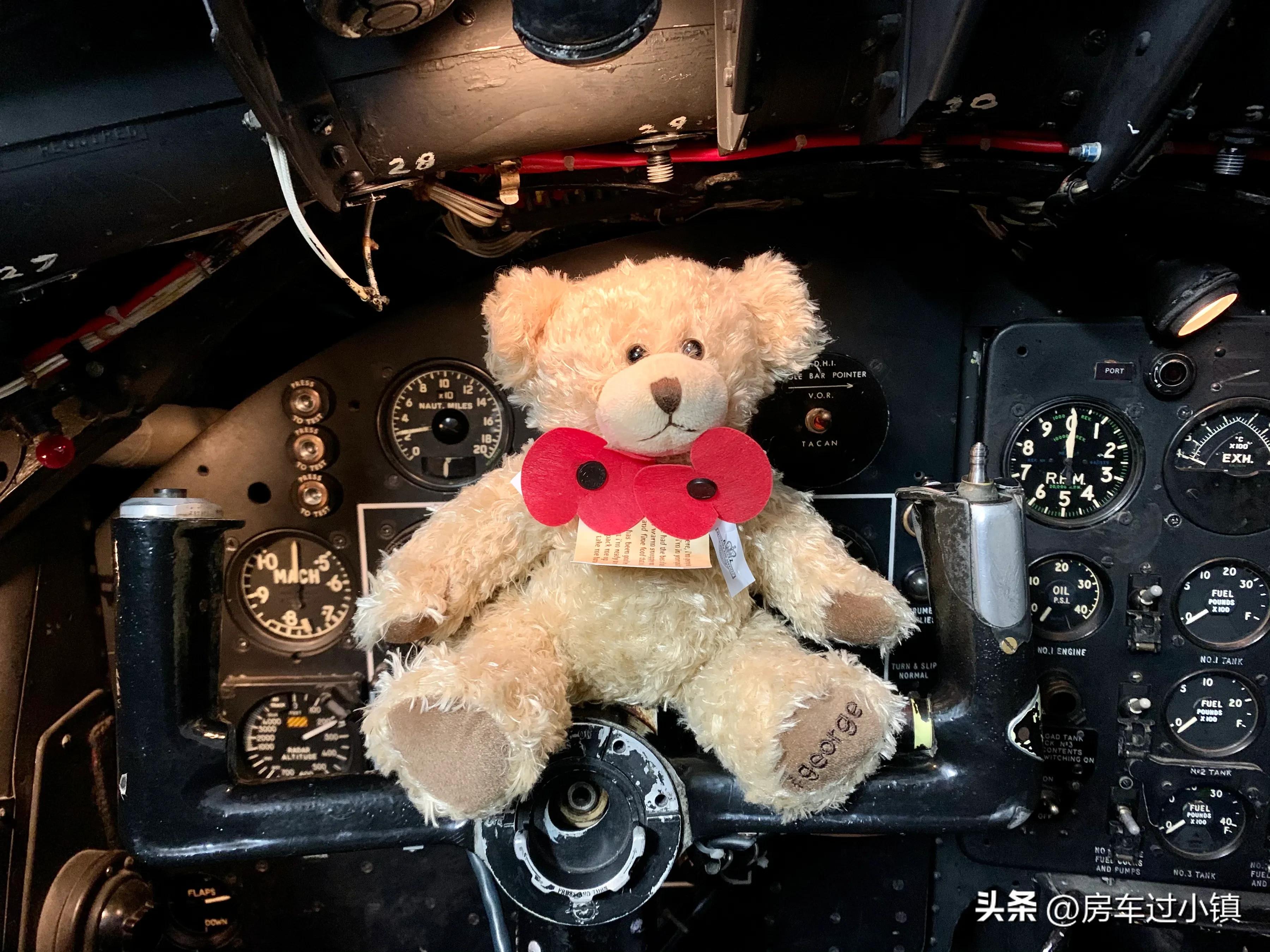 阿什伯顿：女总理、凑钱买飞机及六星花园——新手新车新西兰之13