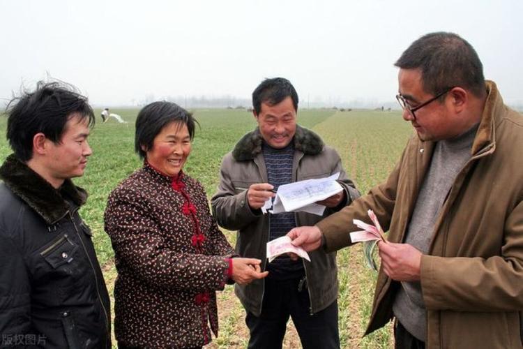 村干部工资低为什么当村官,村干部工资低为什么还有人去干