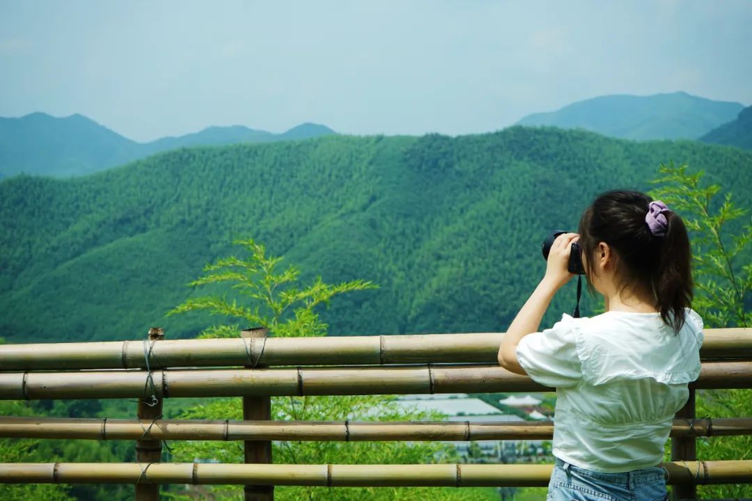 江浙沪附近避暑民宿,夏天莫干山性价比民宿推荐