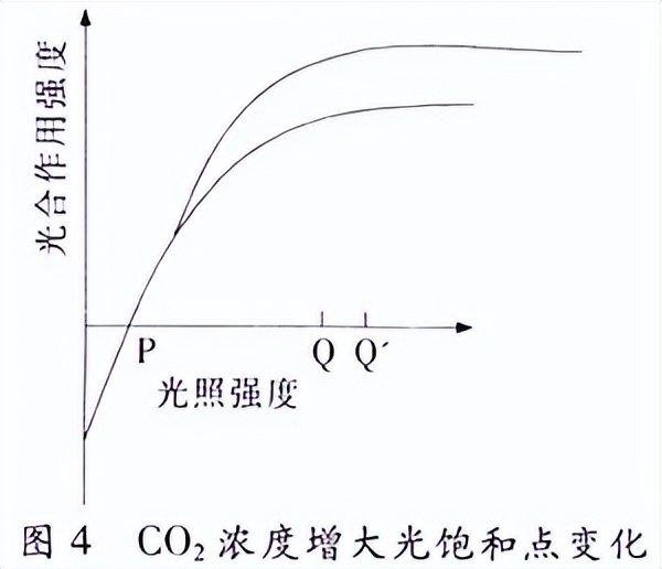 高中生物细胞代谢产生什么物质,高中生物细胞代谢视频