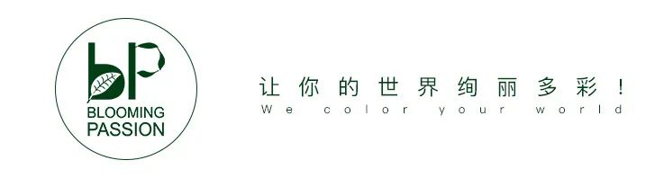 冬天在室内不怕冻的有哪些植物,冬季适合室内不怕冻的植物