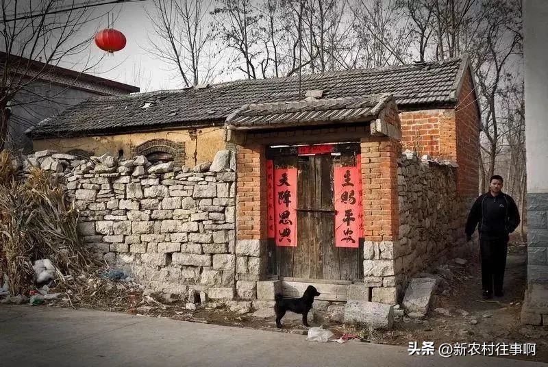 养老在城市好还是回农村老家好,老了适合回农村老家养老吗