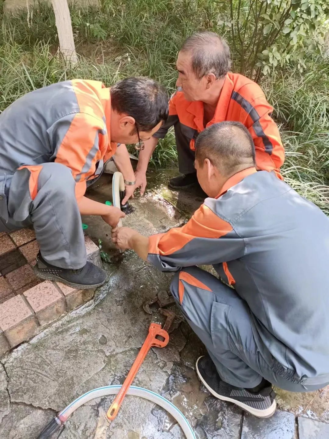 亚新物业发展趋势,亚新物业最新现状