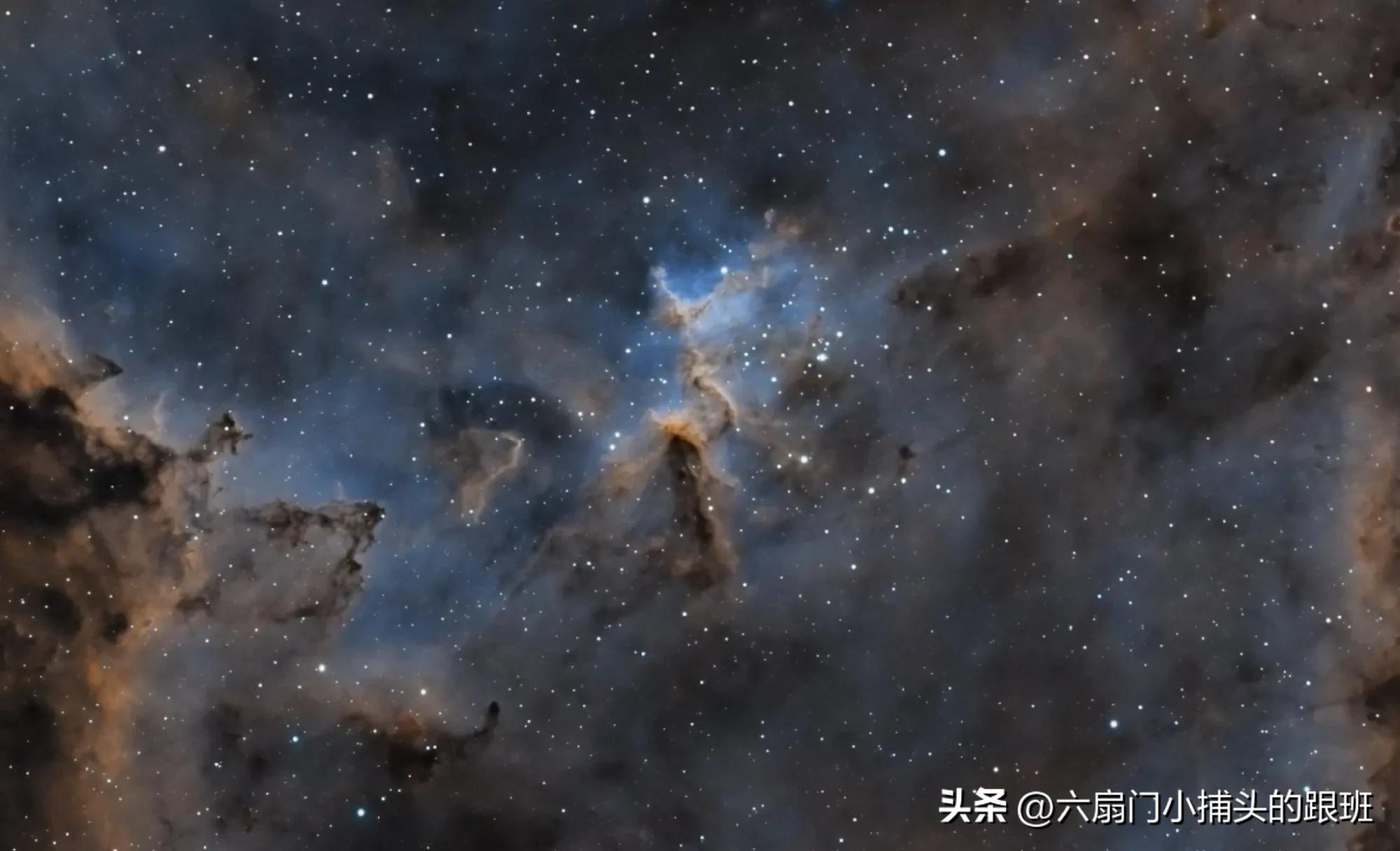 懂懂日记全文,懂懂日记公众号