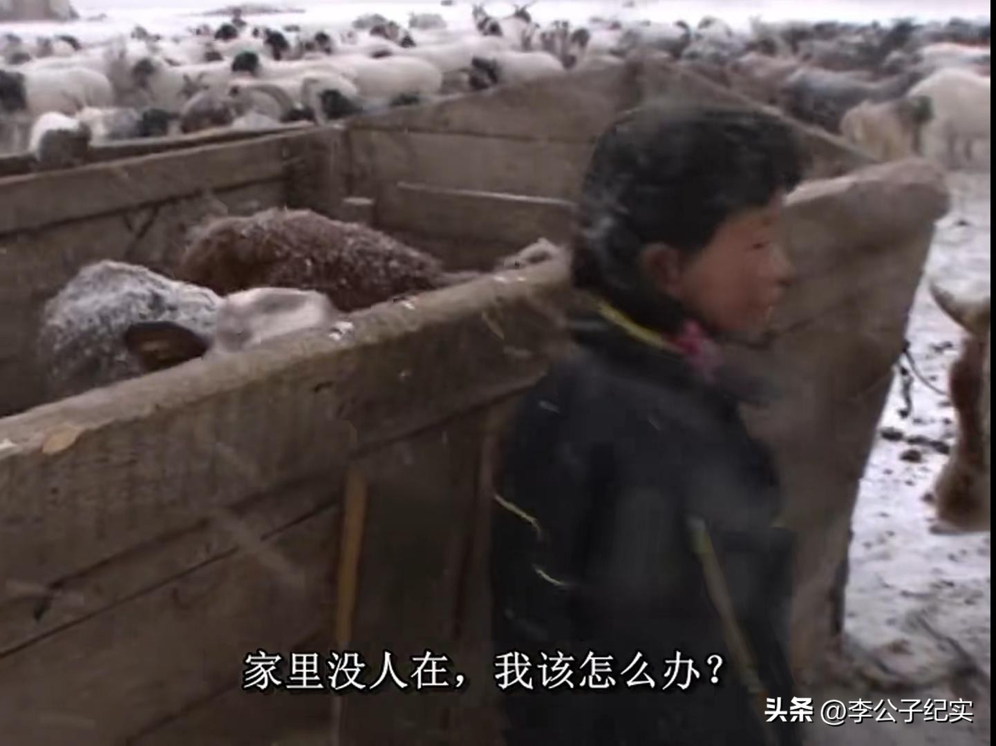 蒙古草原天气晴纪录片图集,蒙古草原天气晴为何突然火了