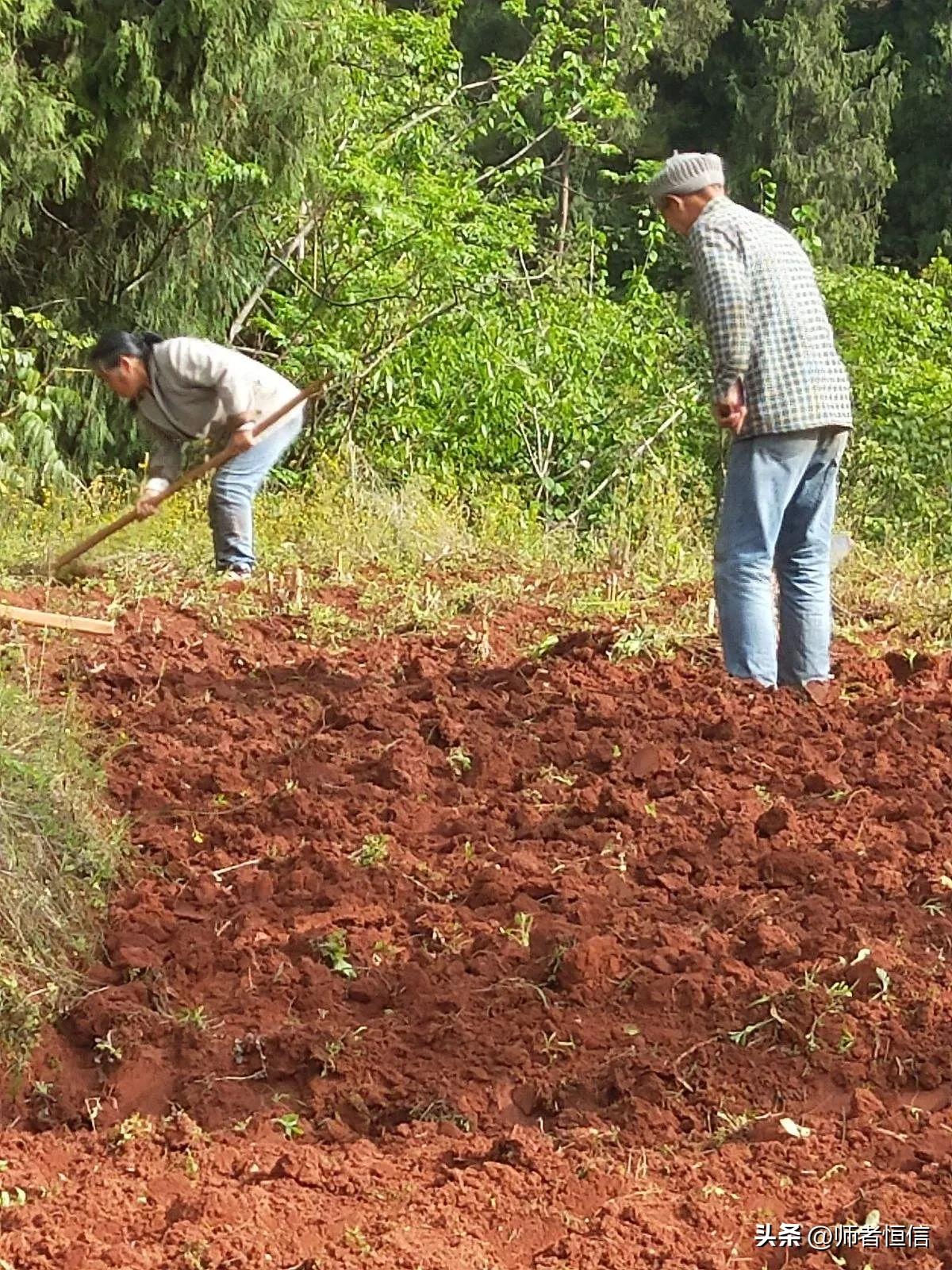 山河锦绣收视率有多高,网民对山河锦绣的评价