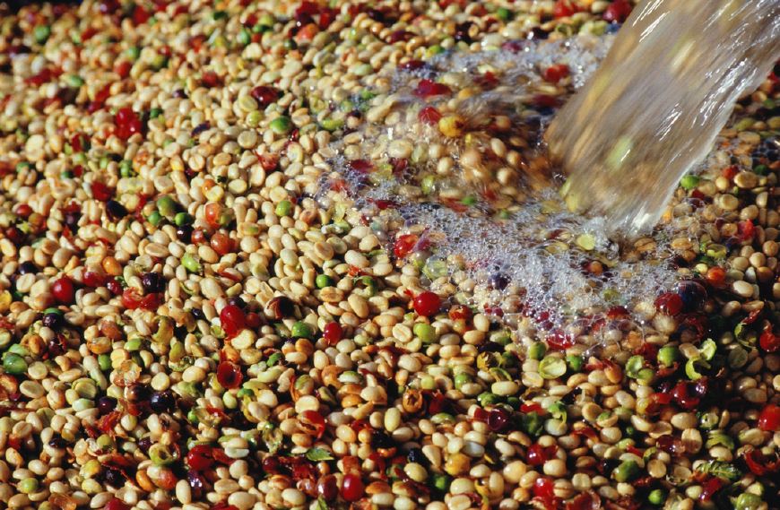 手冲咖啡器具入门指南,关于咖啡你不知道的知识