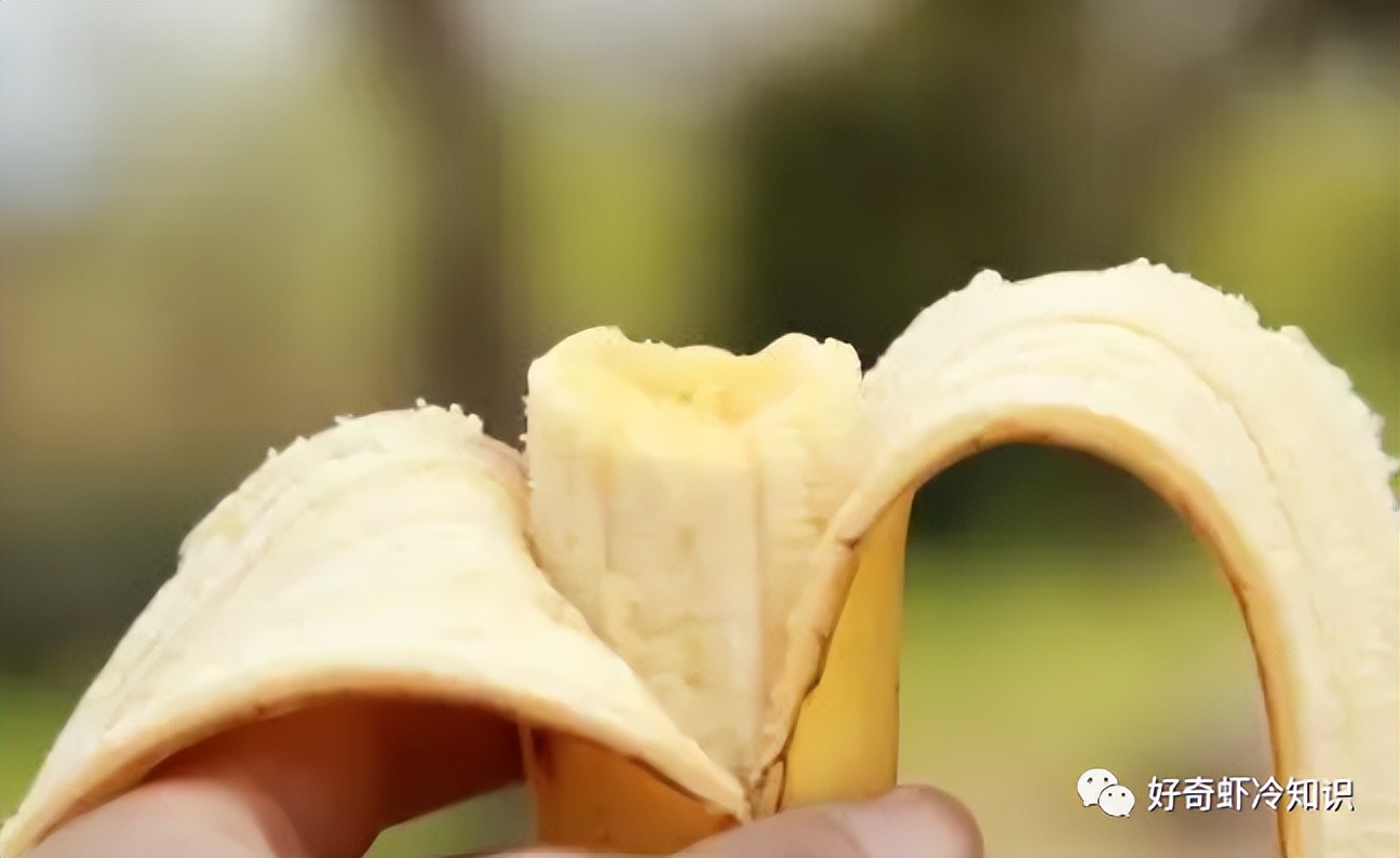 血型与蚊子叮咬有关系吗,蚊虫叮咬与血型有关