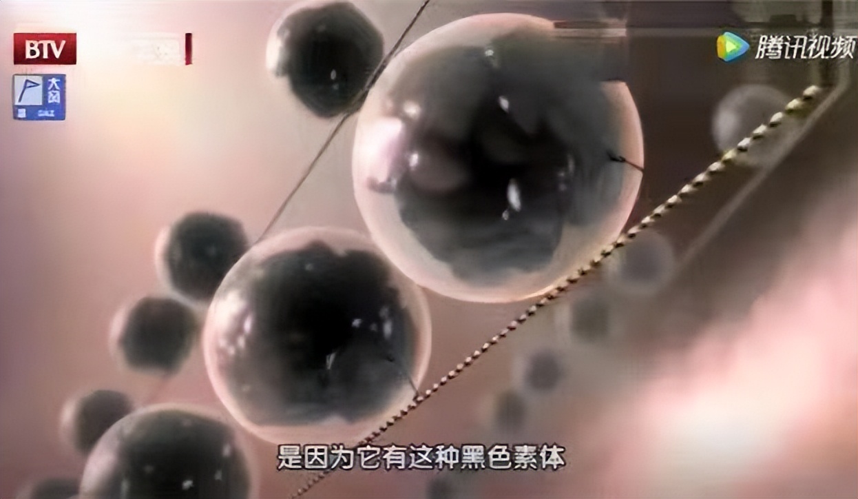 为什么男性寿命更短,为何男性比女性短命