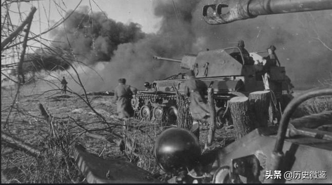 46年毛岸英回国，问父亲认不认识赤英，毛主席听后立即派人喊*德朱**