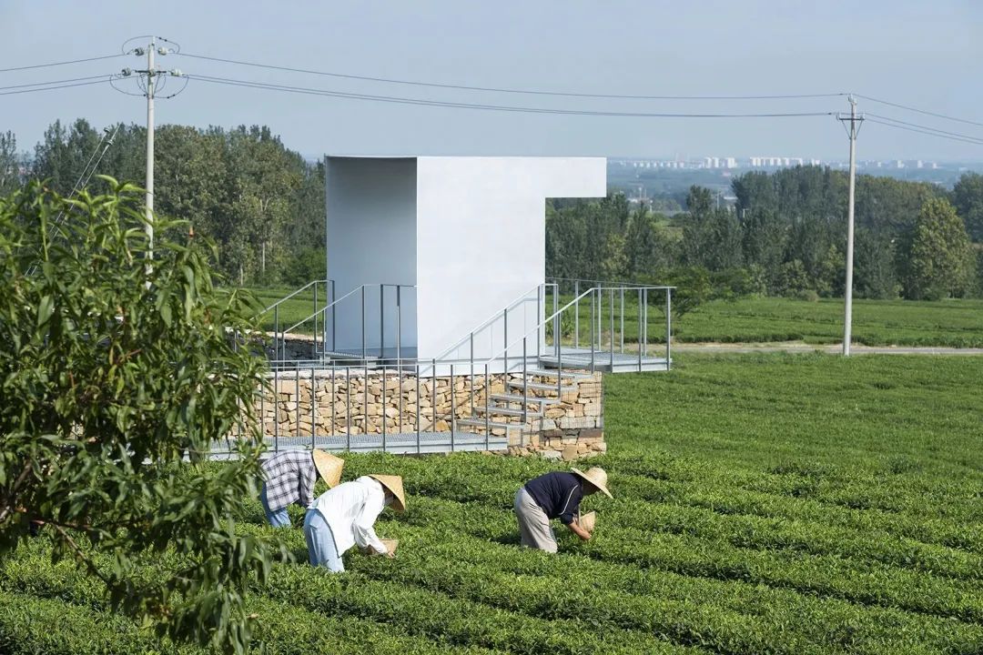 中国茶申遗成功吗,中国茶申遗成功44项名单